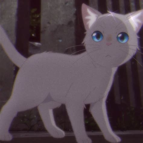 awhiskeraway  whisker  icons anime icon gato anime anime cat