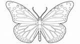 Coloring Monarch Butterfly Pages Getcolorings sketch template