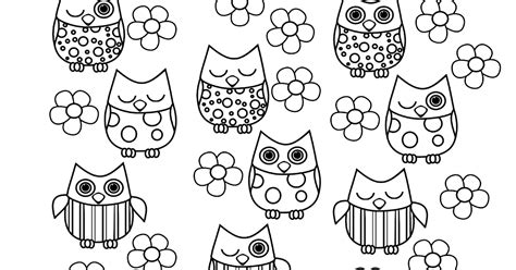 baby owl coloring pages printable desktop hd