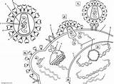 Hiv Coloring Pages Virus Worksheet Biology Infects Color Cell Worksheets Diagram Sketch Biologycorner Immune Graphic Work System Book Cells Choose sketch template