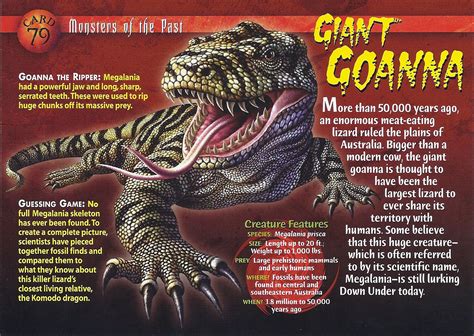 giant goanna weird  wild creatures wiki fandom