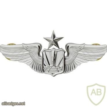badge information page viewing badge air force remotely piloted aircraft pilot badge senior