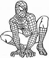 Coloring Pages Spiderman Superhero sketch template