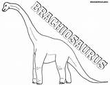 Brachiosaurus Coloring Pages sketch template