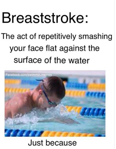 719 best images about swim team on pinterest swimming memes i love