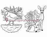 Coloring Pages Animals Baby Fawns Springtime Hatch Eggs Soon Lovely Some Her sketch template