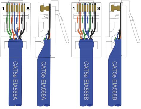 cat  cable connector wiring diagram cat keystone wiring diagram