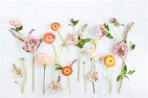 free download floral wallpapers hd pixelstalk