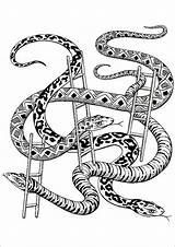 Ladders Snakes Paper Mediastorehouse sketch template