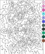 Coloring Pages Number Color Nicole sketch template