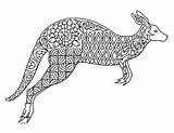 Zentangle Kangaroo sketch template