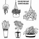 Plant Clipart Minimal sketch template