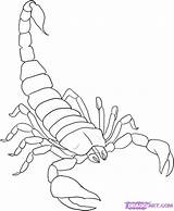 Scorpion Scorpions Scorpio Dragoart sketch template