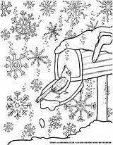 Coloring January Printable Winter Pages Sports Crayola Detailed Getcolorings Color Snowflakes Pag Wonderland Print Snowflake Colorings Getdrawings sketch template