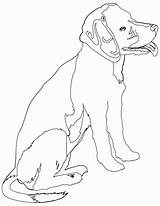 Coloring Pages Beagle Rottweiler Puppy Drawing Beagles Print Russell Color Jack Realistic Dog Printable Getdrawings Animals Line Terrier Drawings Getcolorings sketch template