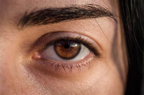 people  brown eyes    higher risk  sad patient advice  news