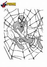 Gratuit Coloring Spider Araña Mandalas Construire Entrain Héros Kleurplaten Avengers Stci sketch template