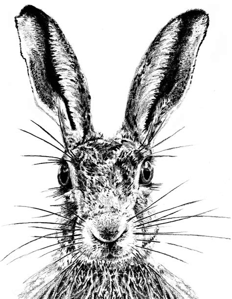 sassy hare starter plate little weaver arts