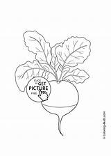 Radish Coloring Vegetables Pages Kids Printable sketch template