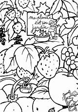 Colorier Potager Coloriages Precious Jardinage sketch template