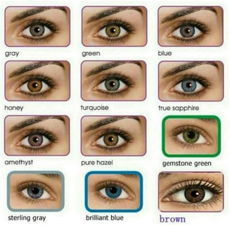 eye color chart eyes eyecolors eye color chart eye color facts  eye