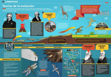 La Evolución De Las Especies Teoría De La Evolución De Darwin Images