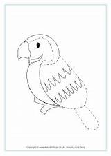 Parrot Trace Drawing Visit Tracing Bird sketch template