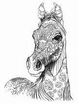 Coloring Horse Adult Pages Book Colouring Animal Print Drawings sketch template