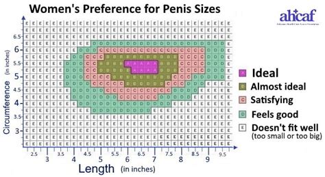 penis measurement guide how to correctly determine your size