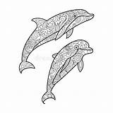 Dolphin Coloring Pages Zentangle Adults Drawing Mandala Dauphin Coloriage Adult Vector Dessin Animal Book Mandalas Dolphins Illustration Stress Anti Imprimer sketch template