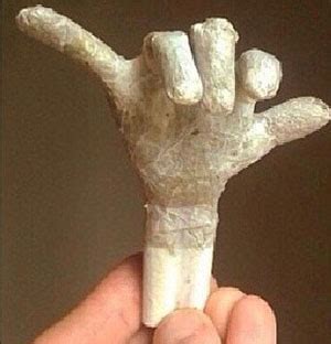 joint art  creative joints    roll hail mary jane