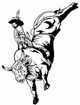 Bull Riding Coloring Pages Drawings Rodeo Drawing Clipart Rider Clip Toros Para Cowboys Dibujos Toro Clipartbest Color Template Sketch Getdrawings sketch template