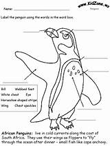 Penguin Penguins Popper Mr Kidzone sketch template
