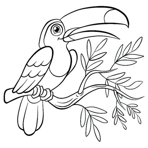 tropical bird coloring pages bird coloring pages animal coloring