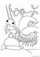 Coloring Pages Centipede Insect Coloring4free Bug Books Related Posts Designlooter Popular sketch template