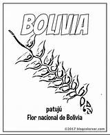 Bolivia Patuju Bandera Kantuta Escudo Tricolor Nacionales Xyz sketch template