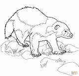 Wolverine Coloring Animal Pages Outline Printable Drawing Clipart Animals Outlines Print Supercoloring Super Color Kids Bear Puzzle sketch template