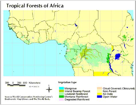 die dringende behoefte aan bewaringspogings  die afrika reenwoud
