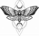 Moth Deadhead Butterfly Geometry Doodle sketch template