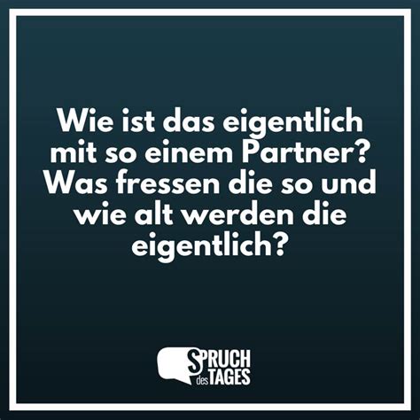 wie ist das eigentlich mit so einem partner was fressen die so und wie alt werden die eigentlich