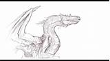Ark Sketch Drawing Survival Evolved Dragon Paintingvalley Drawings sketch template