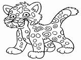 Coloring Pages Animal Teens Color Printable Pdf Getcolorings sketch template