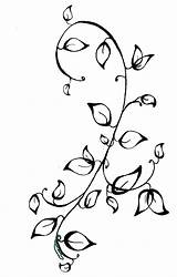 Ivy Drawing Leaves Vine Tattoo Stencil Flower Getdrawings sketch template