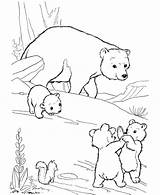 Bear Coloring Pages Hunt Polar Printable Bears Kids Sheets sketch template