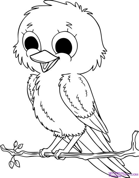 baby birds coloring pages coloring pages  kids printable