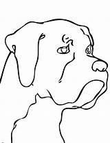 Dog Head Coloring Pages Animal Clipart sketch template