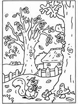 Herfst Kleurplaten Eekhoorn Kleurplaat Volwassenen Peuters Tekeningen Printen Kinderen Eekhoorntjes Tekenen Noten sketch template