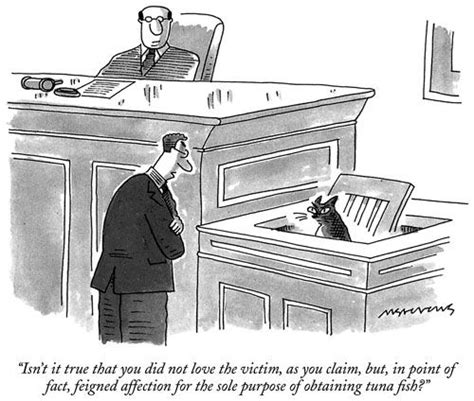 11 Best Images About The New Yorker On Pinterest