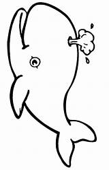 Whale Coloring Pages Coloring2print sketch template