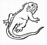 Lezard Lizards Lézard Iguana Coloriages Lagartos Gratuit Afrique Coloringbay Reptiles sketch template